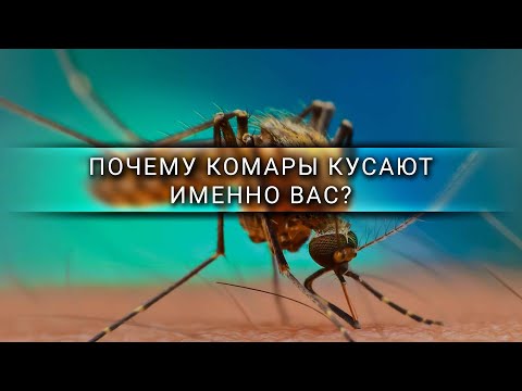 Почему комары кусают именно вас? [Veritasium]