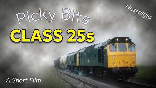 Picky Bits - The Class 25s in the '70s & '80s