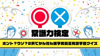 ○×常識力検定】ホント？ウソ？🧐2択の雑学クイズ【クイズゲーム