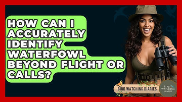 How Can I Accurately Identify Waterfowl Beyond Flight Or Calls? - Bird Watching Diaries