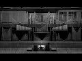 James McVinnie and Tom Jenkinson - Voix Célestes