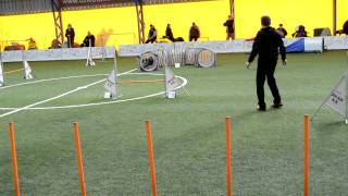 Vatai Szilvia & Frizbee Open Jumping Meoe Wintercup 2012-02-26