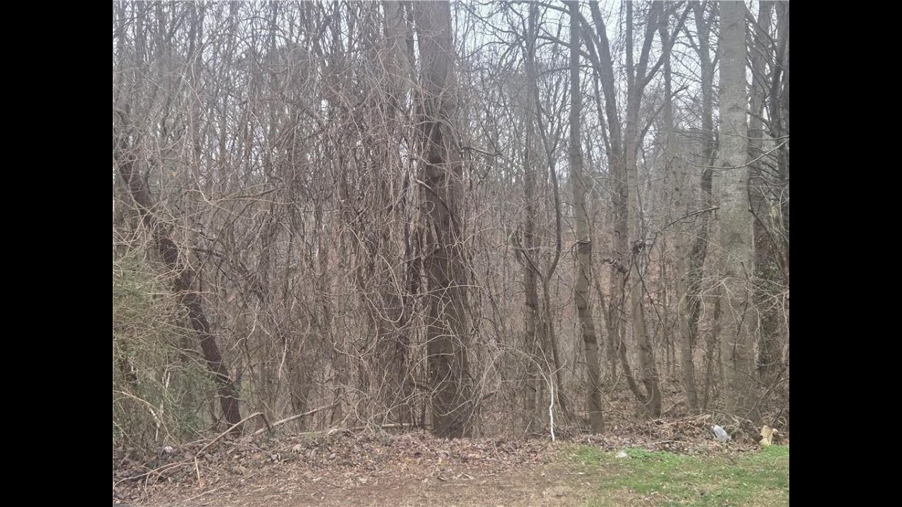 Residential for sale - 0 Nellie Brook Drive, Mableton, GA 30126