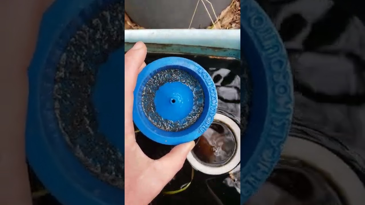 Mosquito larvae trap design