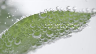 [Ariul] 7days mask Tea Tree M