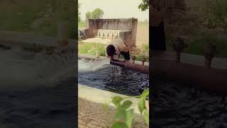 Pure water⛲😎#villagelife #village #afternoon #trand #viral