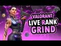 Silver 3 Lgega ajj ? | Valorant live stream | VAZE |