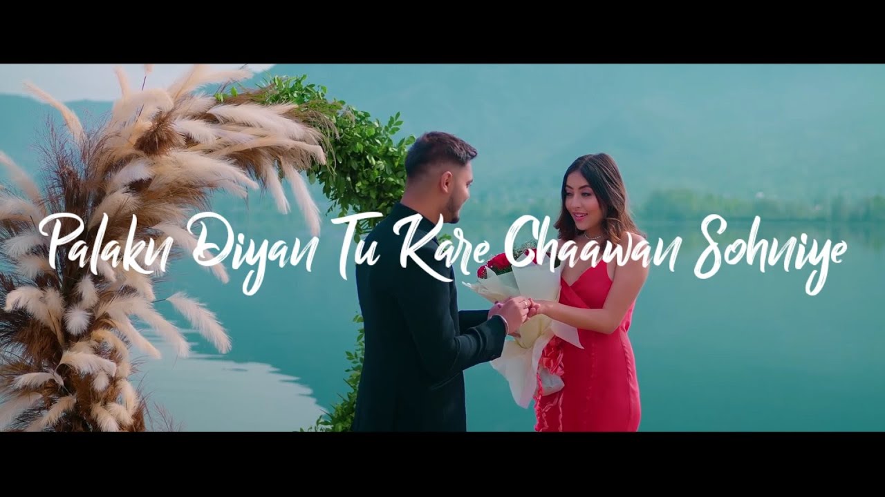 Parshawan whatsapp status | Lyrical | Harnoor | Vinay Creation