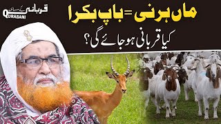 Hiran Ki Qurbani Jaiz Hai ? | Qurbani Kay Masail | Bakre Ki Qurbani | Maulana Ilyas Qadri | Eid 2020