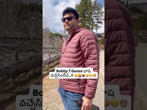 Bobby కి Goose భాష వచ్చేసిందోచ్..!! 🤣🤦‍♀️🤷‍♀️🤪😬🙊 #mogudzpellamz #fypシ #fyp