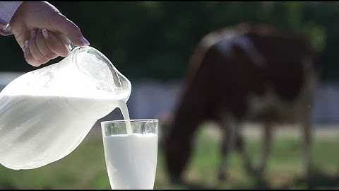 Drinking milk when you are an adult.