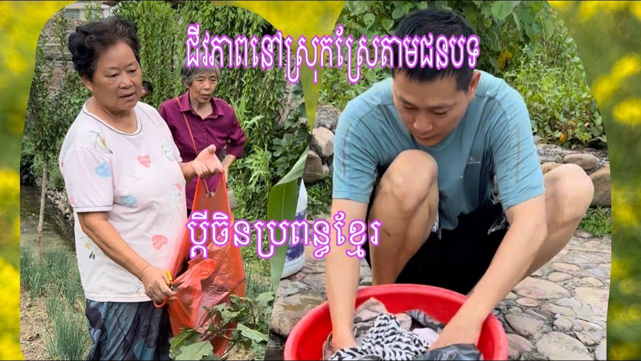 កូនប្រសារចិនសមួយថ្មីនេះ