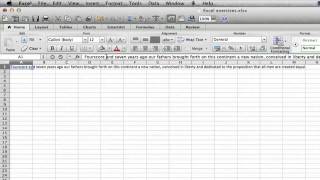 How to Find a Font Size in Excel 2007 : MS Excel Tips
