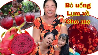 Huỳnh Như Vlogs Nhặt Thanh Long Ruột Đỏ Về Cho Cô Tư Áo Bông Làm Nước Giải Khát | Vlogs 2 Cô Tư