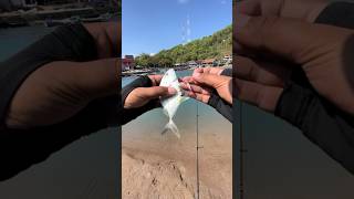 Umpan Ampuh Casting Beby GT, Jig Kalen, Shopee Kalenfishingshop #mancing #fishing #fishinglife