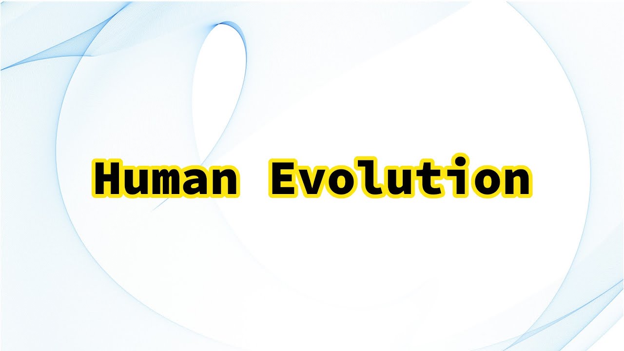 Human Evolution - A beginner historical perspective