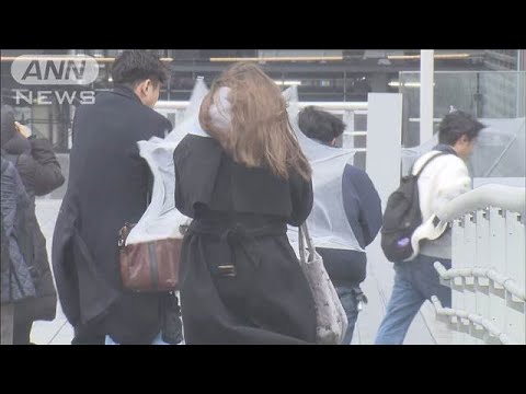 関東 4月の観測史上一番の大雨に　午後も気温上がらず…花冷え続く(2025年4月2日)