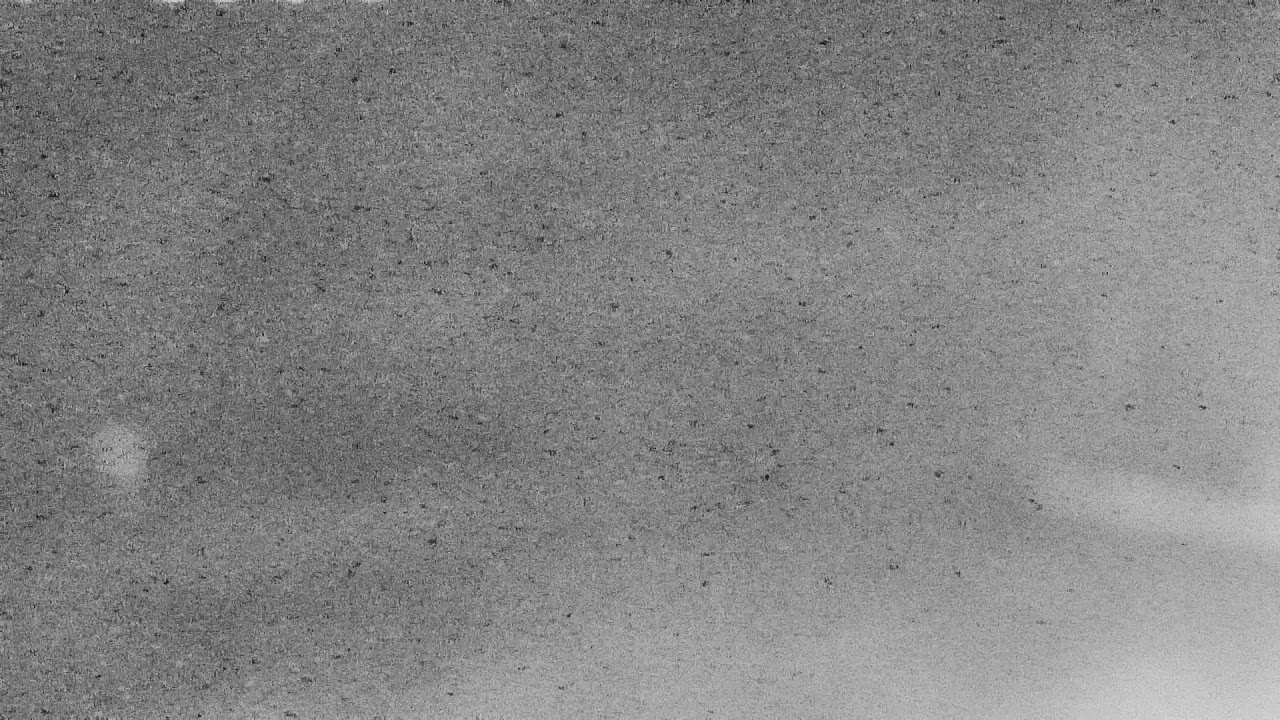 🔴 Live Webcam @ Brasserie Leopold I - De Panne Belgium