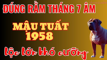Phân Tích Sốc: Mậu Tuất 1958 - Đúng Rằm Tháng 7 Âm, Vét Cạn Lộc Trời, Đổi Đời Rực Rỡ