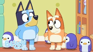 Bluey y Bingo se vuelven vecinas| Vecinos | Bluey Español Canal Oficial