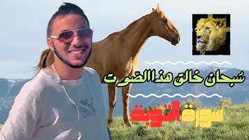 تلاوة تهتز لها القلوب سورة التوبة | القارئ حمزة مدبوح | أروع التلاوات 🎧 ✨