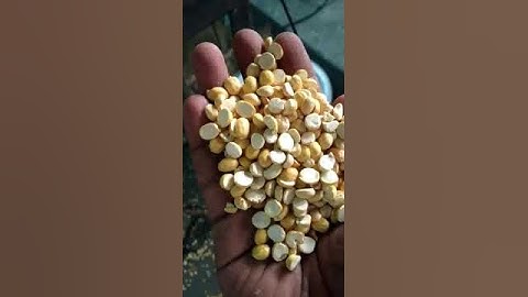 Freid gram color sorting machine(3)