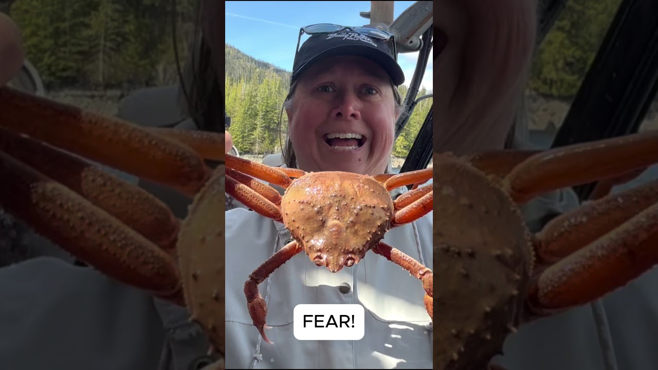 Would YOU Hold This Giant Alaskan Crab? 🦀