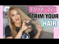 DIY: HOW TO TRIM YOUR HAIR AT HOME
