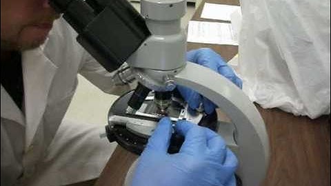 Asbestos testing with Polarizing Light Microscope