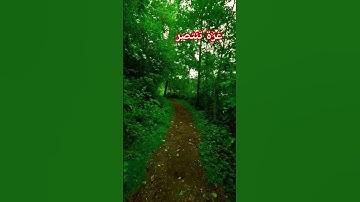 قرآن كريم بصوت رائع #اليمن #العراق #الجزائر #السعودية #المغرب ##مصر #غزة #اكسبلور #