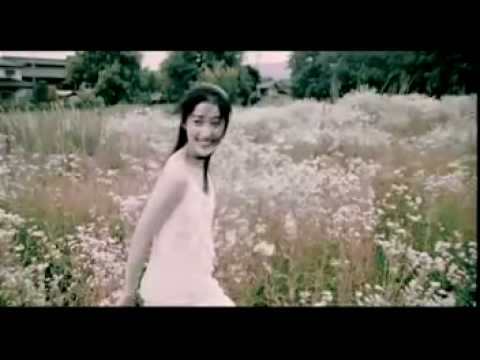 Jay Chou- | Qi Li Xiang - Orange Jasmine MV with lyrics