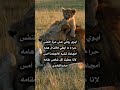 قصيد شعر حامدالغامدي أبوي رباني على عزة النفس حرام ما أوطي للأنذال هامه