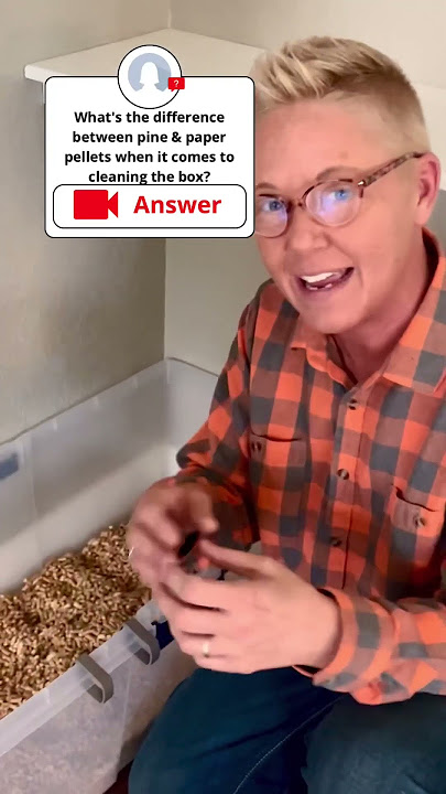 Pine vs Paper Pellet Litter | Two Crazy Cat Ladies
