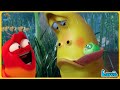 LARVA SEASON 1 FULL EPISODE | CARTOON FOR LIFE | NEW CARTOONS MOVIE NEW VERSION