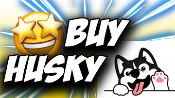 Husky Token ✅ How to Buy Husky Coin on Uniswap