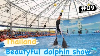 Dolphin show in thailand || best show ever #beautyful #show #dolphin (shiv around the globe) screenshot 3