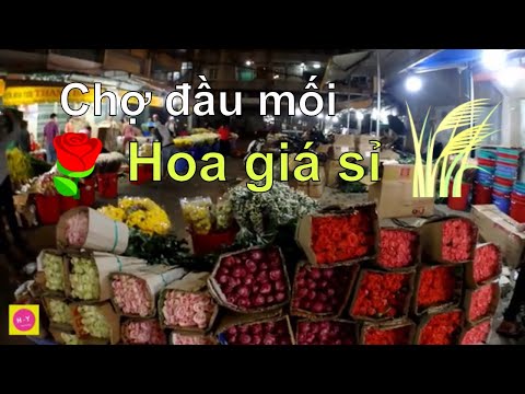 bình cắm hoa giá sỉ - Webgiasi