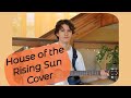 House of the rising sun cover  the animals