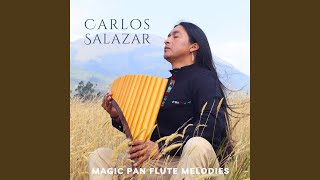El Sonido Del Silencio - Carlos Salazar