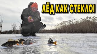 Прозрачный лёд, Дядя Фёдор, безмотылка и предновогодние окуни!