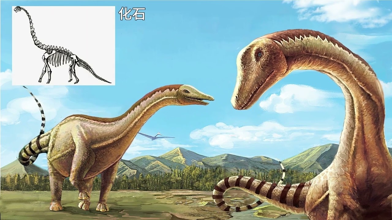 【恐龙全知道】EP24 | 恐龙足迹下 | 益智 | 动画 | 卡通