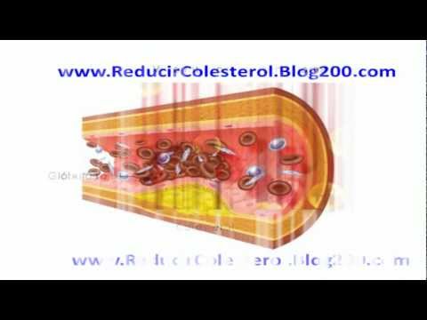 Té de Jengibre con Canela para Digestión y Sistema In Té de Jengibre con Canela para Digestión y Sistema In