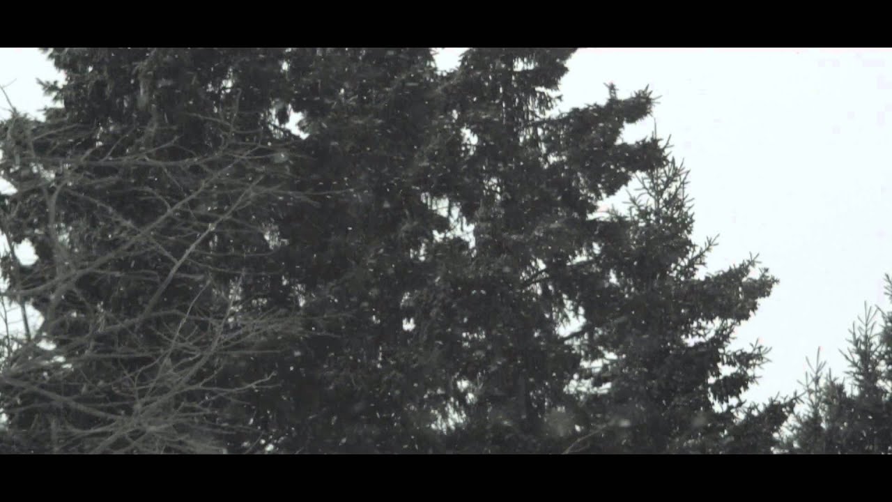 NIKON 1 J1 VIDEO TEST YouTube