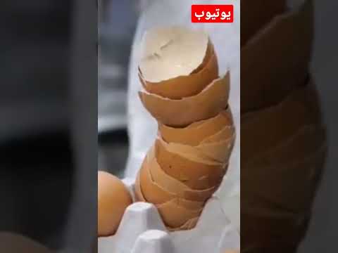 تكمله قضه انتقمت منها بابشع الطرق تيك توك لانا ولين بركات وناسه وضحك تيك توك المشاهير