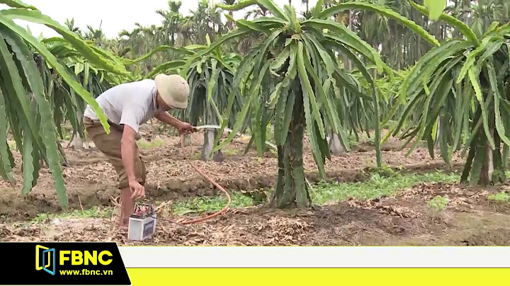 Nguyên nhân nào con trai lại chọn ngành xây dựng