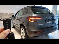 2020 Skoda Karoq 1.5 TSi Ambition (150 hp) - Visual Review