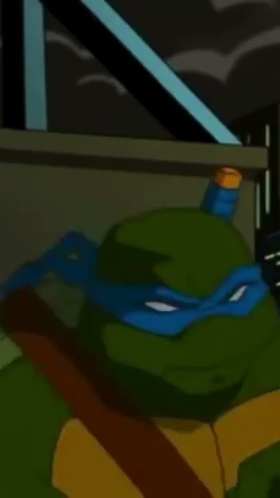 Почта в стиле ниндзя #shorts#shortvideo#turtle#tmnt#черепашкининдзя ...