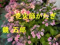 花火師かたぎ/鏡五郎♪Cover♪。毎日配信