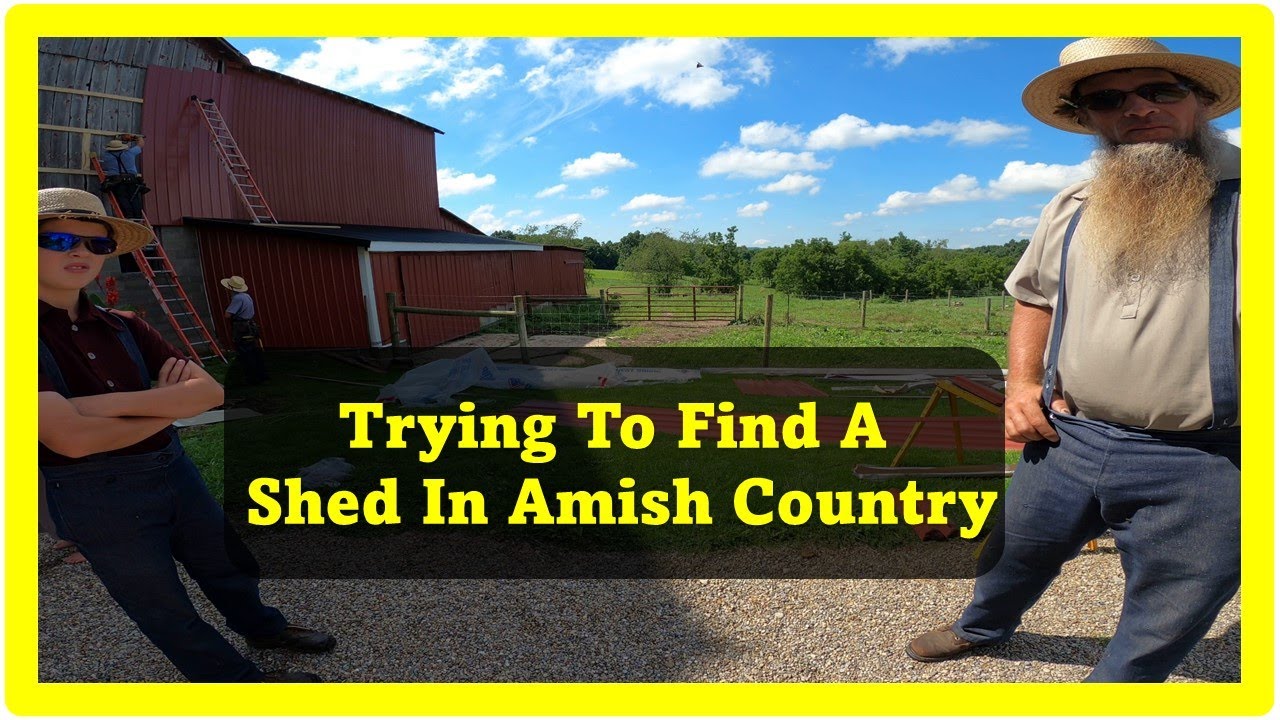 Shed Repo Attempt In Amish County