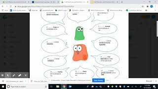 How to do Amoeba Sisters Cells Worksheet